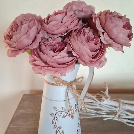 Laurette Maison Familiale, Vallee De La Somme *